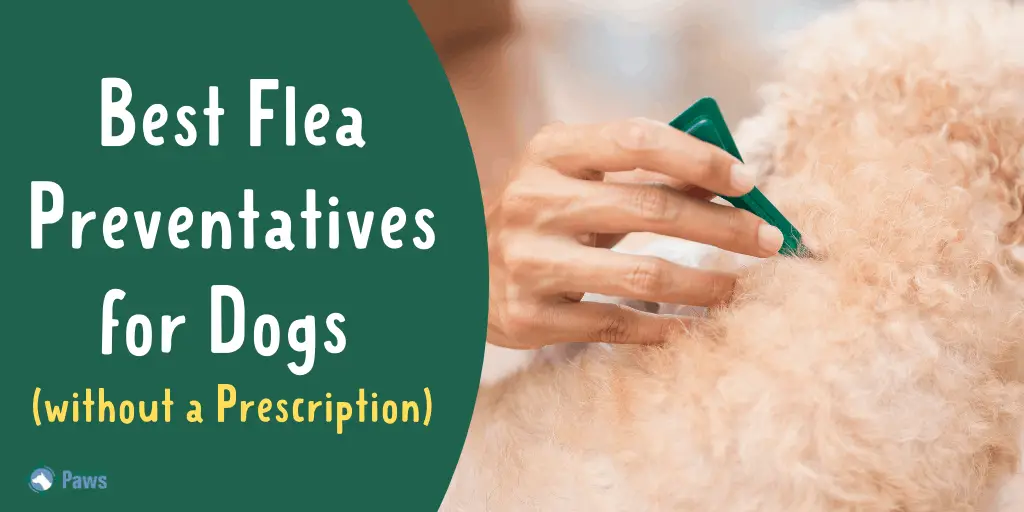 best flea medicine for dogs without vet prescription